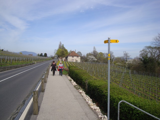 aubin-03