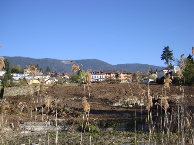 aubin-23
