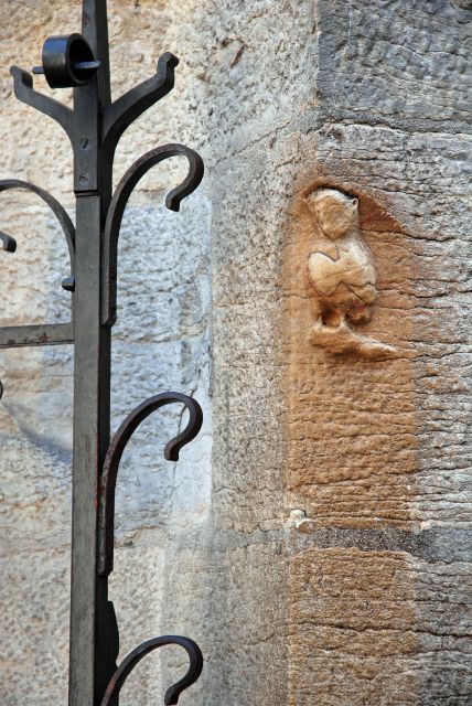 dijon-33