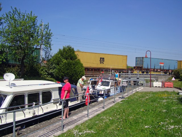 montb-10