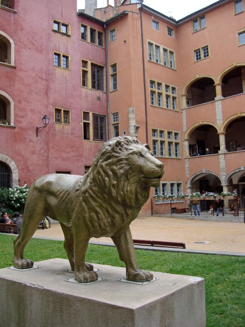 lyon-14