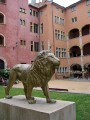 lyon-14