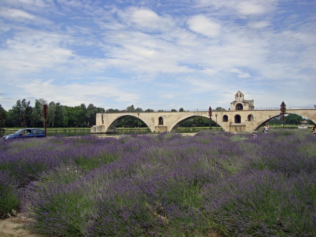avignon-11