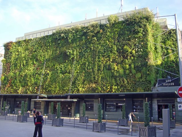 avignon-41