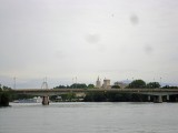 avignon-10