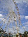 avignon-29