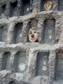 avignon-44