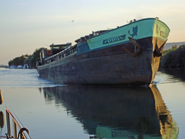 sete-12