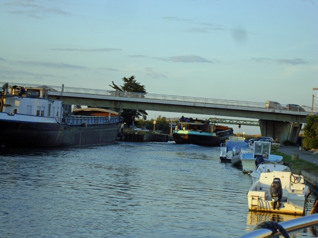 sete-15