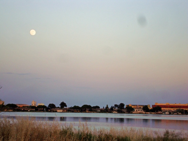 sete-23
