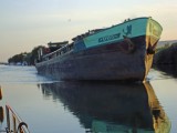 sete-12