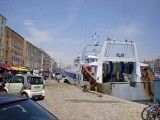 sete-41