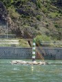 valence-10