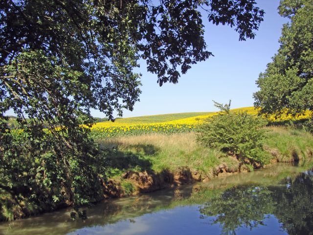gardouche-44
