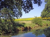 gardouche-44