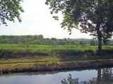 trebes-15