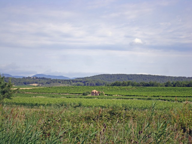 trebes-18