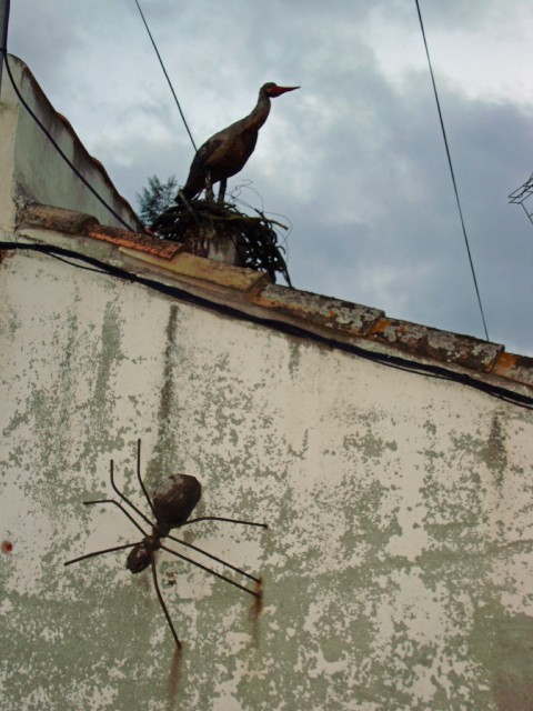 bouzigues-04
