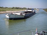 gallician-26