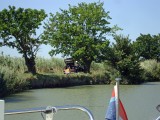 gallician-29