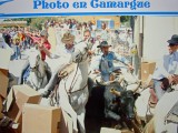 gallician-37