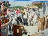 gallician-38