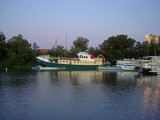rhone-10