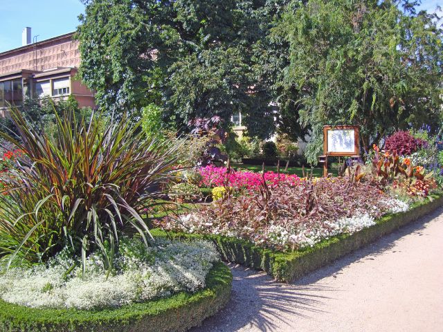 nancy-19