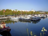 nancy-37