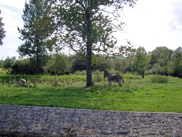 psaone-15