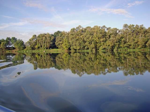 saone-31