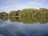 saone-31