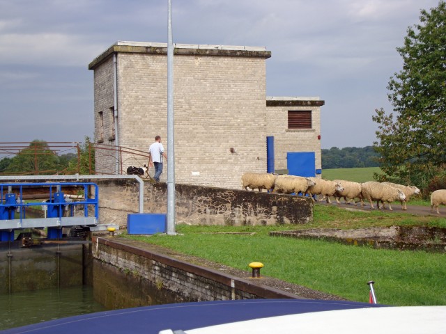 marne-02