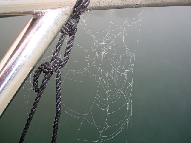 rhein-05