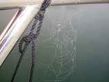 rhein-05