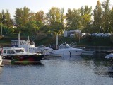 rhein-16
