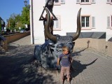 rhein-22