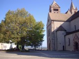 rhein-24