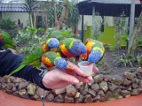 friesland-17