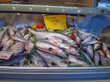 fischmarkt-8