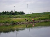 elbe-11
