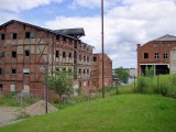 malchow-05