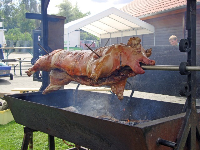 plau-04