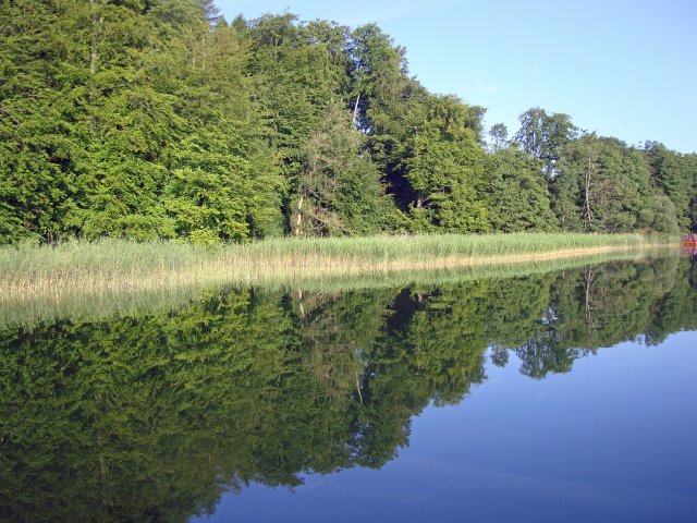pwerder-06