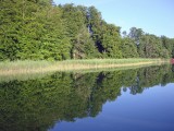 pwerder-06