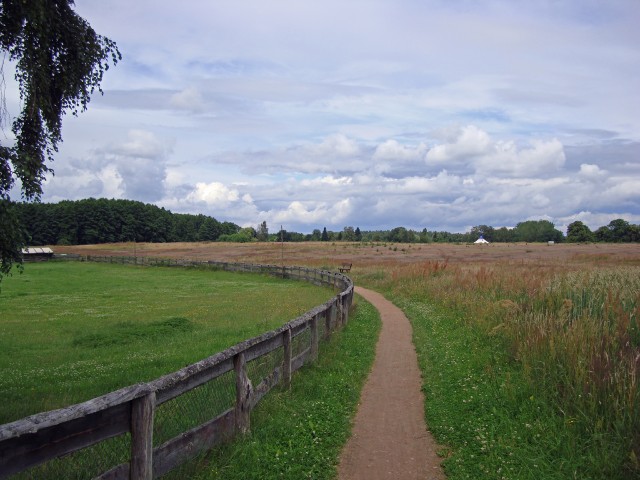 roebel-04