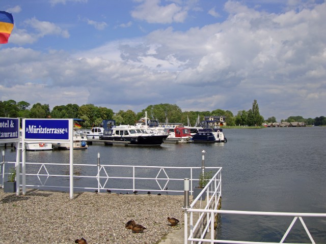 roebel-10