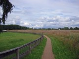 roebel-04