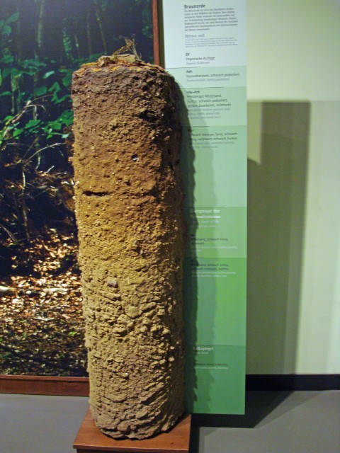 waren-21