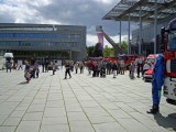 wolfsburg-20